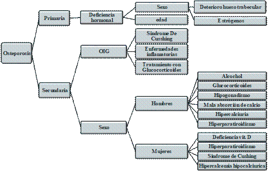 Etiología primaria y secundaria de la osteoporosis.1