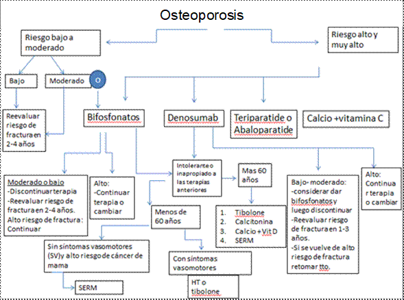 Relación de la microbiota intestinal con el sistema inmune.