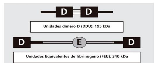 Unidades de medida del dímero D.