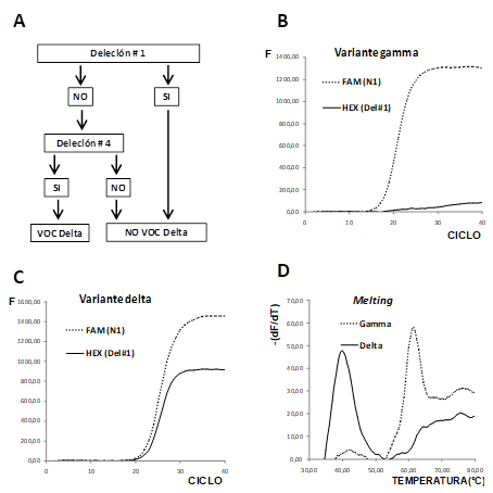 Estrategia de tamizaje para detección de variante delta.
