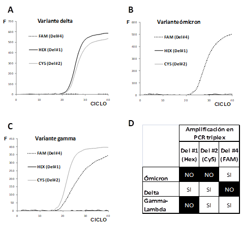 Resultados típicos de amplificaciones de muestras.