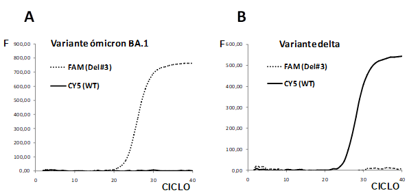 Resultado típico del ensayo para la detección de la deleción #3.