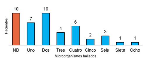 Distribución de cantidad de microorganismos hallados por paciente.