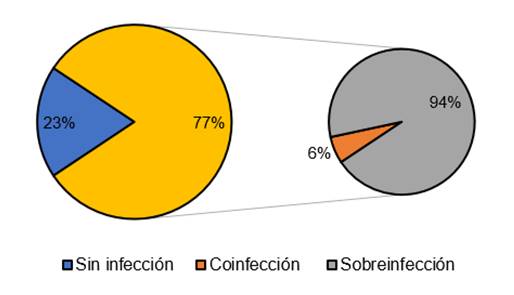 Porcentajes de pacientes sin infección, coinfección o sobreinfección bacteriana.