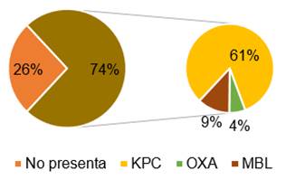 Carbapenemasa por fenotipo en Klebsiella pneumoniae (n=23).