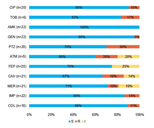 Porcentaje de cepas de Pseudomonas aeruginosa S, R e I (n=22).