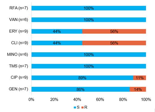 Cepas de Staphylococcus aureus S y R (n=9).