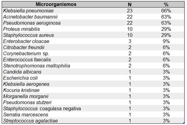 Microorganismos hallados en las muestras analizadas.