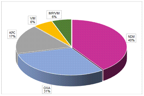 Distribución porcentual de las 52 carbapenemasas de acuerdo con el tipo de enzima durante los meses de la vigilancia.