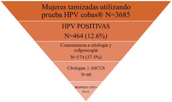 Figura 2. 