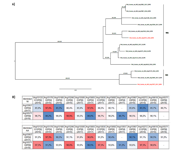 Análisis filogenético y matriz de distancias del gen VP4.