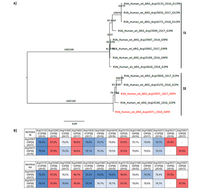 Análisis filogenético y matriz de distancias del gen VP6