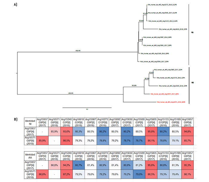 Análisis filogenético y matriz de distancias del gen VP1