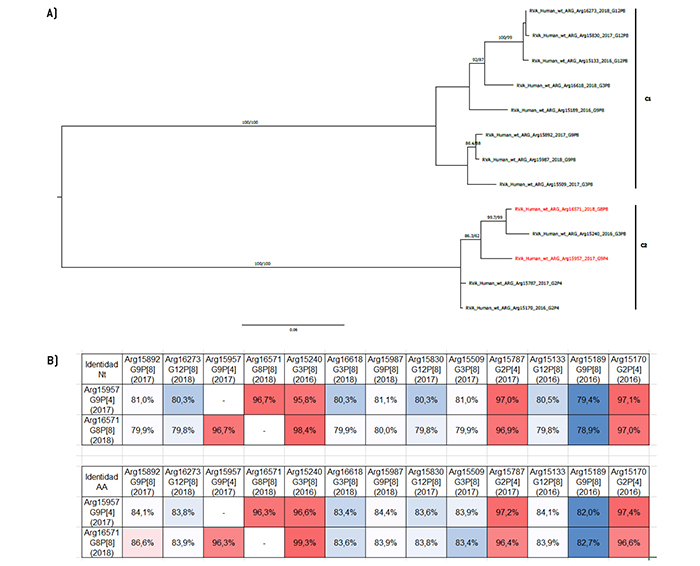 Análisis filogenético y matriz de distancias del gen VP2