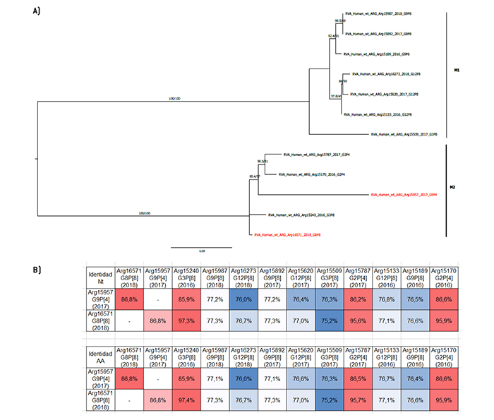 Análisis filogenético y matriz de distancias del gen VP