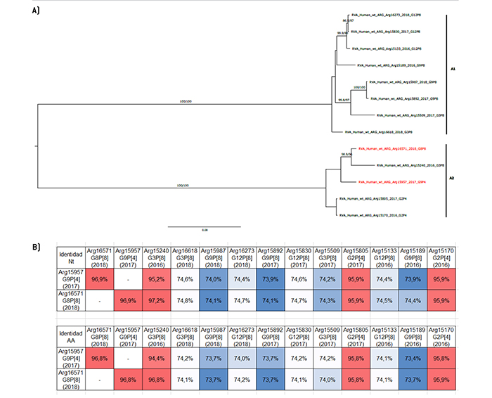 Análisis filogenético y matriz de distancias del gen NSP1