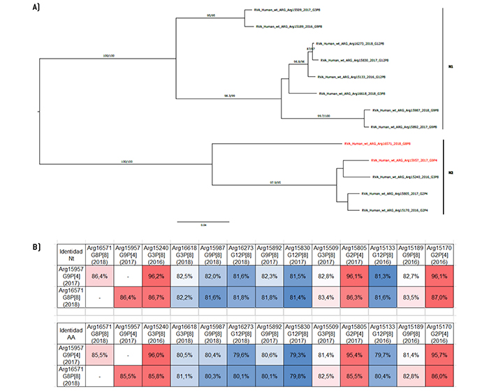Análisis filogenético y matriz de distancias del gen NSP2