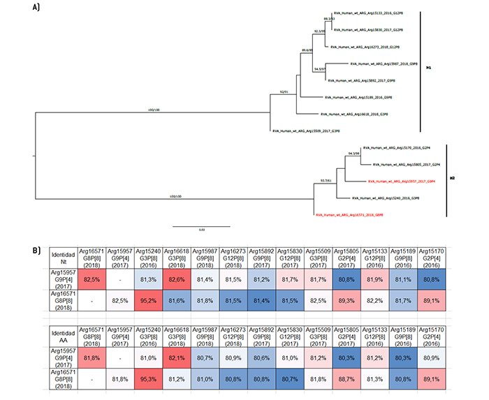 Análisis filogenético y matriz de distancias del gen NSP4