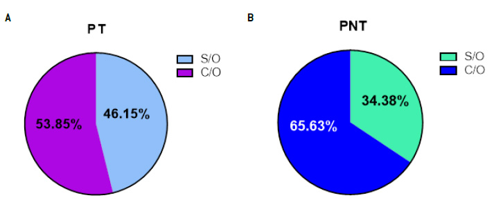 Clasificación de PT y PNT según CC